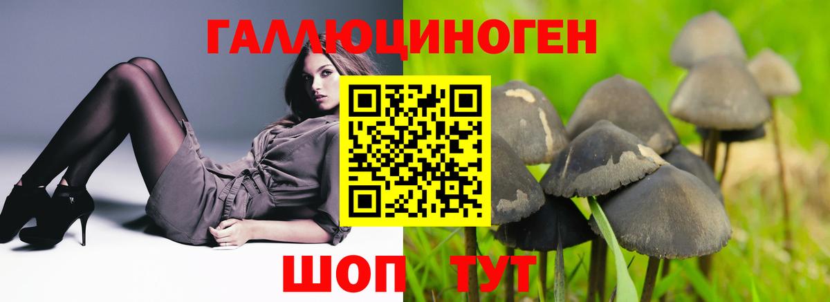 Нижний Тагил  Галлюциногенные грибы Psilocybine cubensis  Вход с VPN 